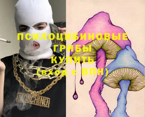 гидра Белоозёрский