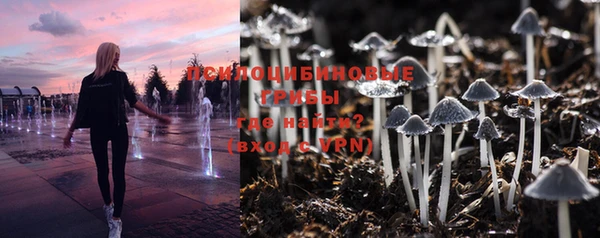 бошки Беломорск