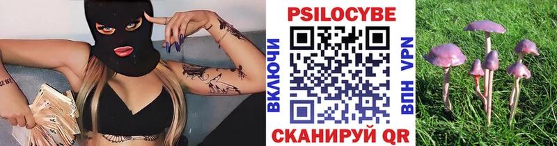где купить наркоту  Челябинск  Галлюциногенные грибы мухоморы 